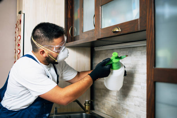 Best Best Pest Control Companies  in Somers, MT