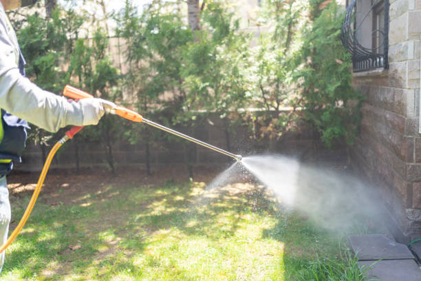 Best Pest Inspection Near Me  in Somers, MT