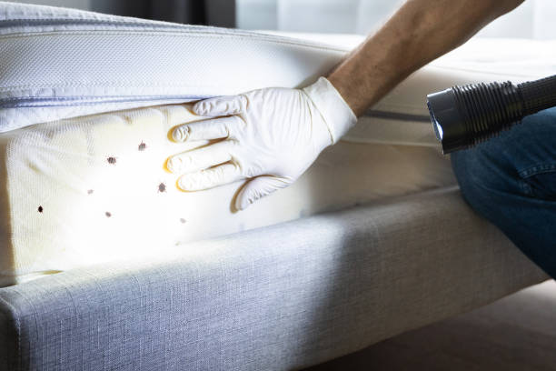 Best Bed Bug Extermination  in Somers, MT